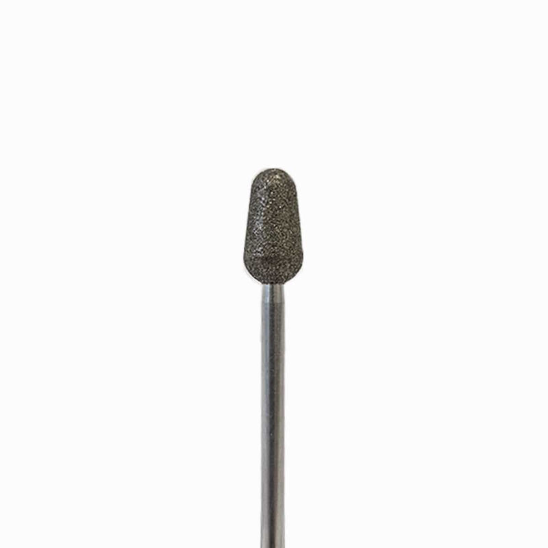 Diamond Bur Bud 2 1894