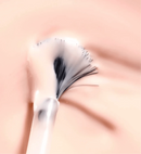 Poderm Color Care Nail Polish 8ml 1529-PP