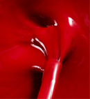 Poderm Color Care Nail Polish 8ml 1529-RA