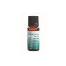 NW Essential Oil Tea Tree 1533